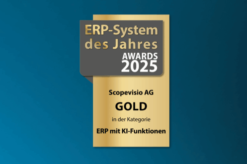 ERP System des Jahres 2025