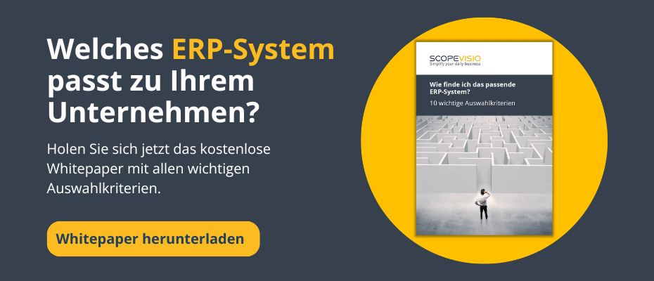 Whitepaper-Download: So finden Unternehmen das passende ERP-System
