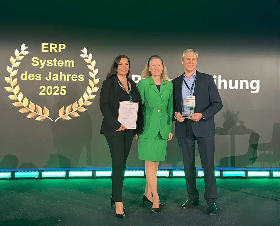 ERP System des Jahres 2025