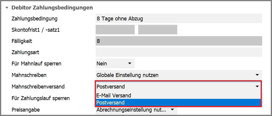 Screenshot Debitor Zahlungsbedinungen