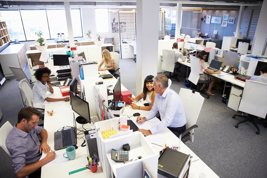 Gemeinsames Arbeiten im Büro