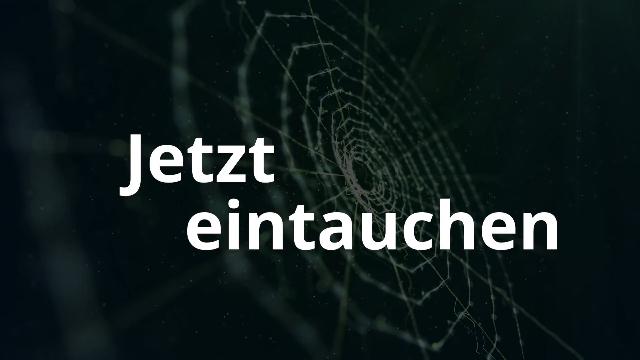 Video Ansehen